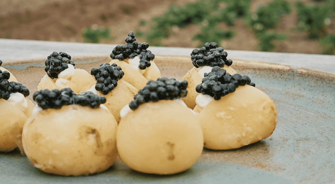 Opskrift Nye Danske Kartofler Rygeostcreme Og Caviar