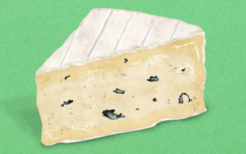 Ost til efterårshyggen: 6 hotte oste lige nu